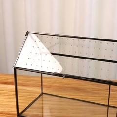 Desktop Glass Display Box with Air Hole Cover for Succulents Plant Pet Viewing