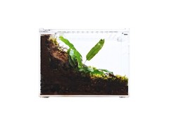 Herpcult Acrylic Reptile Terrarium Gecko Spider Vivarium Enclosure Medium Flat