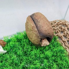 Reptile Tank Accessories – Resin Magnetic Rock Hideout Hermit Crabs & Small