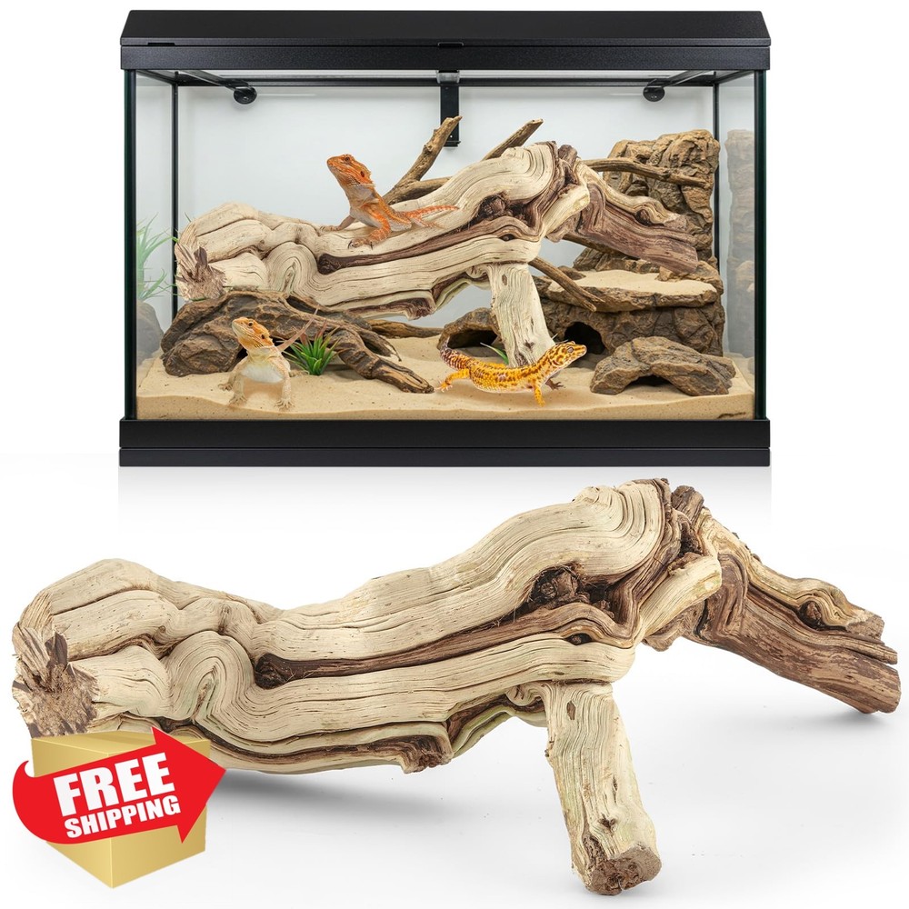 Janinka 14-17″ Wood Reptile Branch