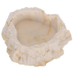 Anti Escape Feeding Bowl Chameleon Dish Bearded Dragon Accessories