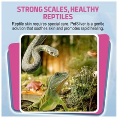 Reptile Wound Spray with Chelated Silver – Reptile Wound Care for Snakes, Liz…
