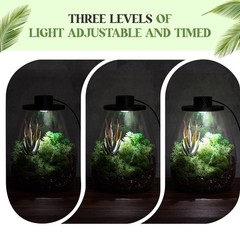 LED Glass Plant Terrarium Kit – Desktop Planter for Succulents, Moss & Mini Gard