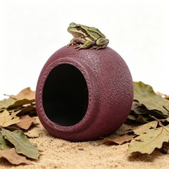 Egg Shaped Frog Breeding Box Toad House Habitat Tank Accessories