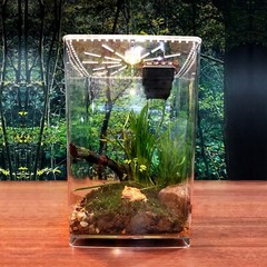 Acrylic Reptile Enclosure Cage Lizard Frog Pet Snake Terrarium Lives Cage Tank