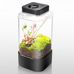 Insect Terrarium, 4″ x 4″ x 6″ Insect Breeding Box with LED Lighting & Fan Sy…