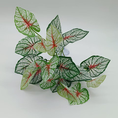 Reptile Plants for Bearded Dragon Tank Accessories, Terrarium Plant Artificial D