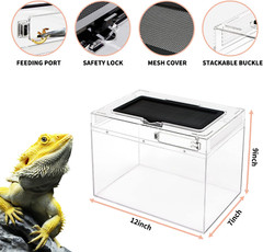 Mini Reptile Terrarium,12″ X7″X 9″Reptile Tank with Full View Visually Appealing