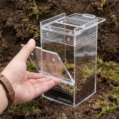 Glidemax Jumping Spider Enclosure | 3x3x6 Acrylic Habitat