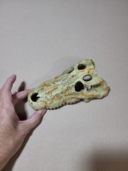 Medium Crocodile Skull For Snake Tank, Reptiles, Iguanas, New