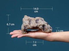 Reptile Hideout Cave Resin Simulation Rock Decor Turtles Lizards Bearded Dragons