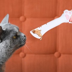 2PCS Cat Food Spoon, Reusable Cat Paw Pet Foods Can Opener with Spoon, Silico…