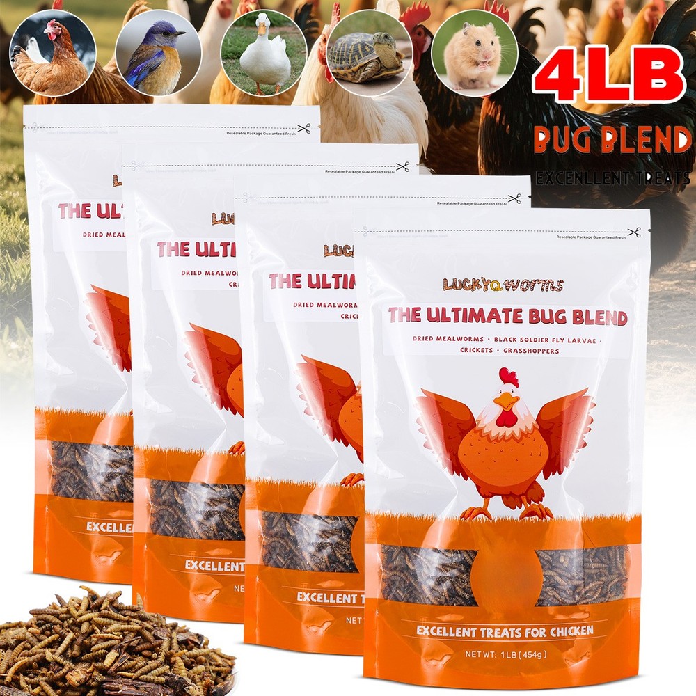NEW 4Lbs High Protein Dried Insect Trail Mix Natural Treat for Chickens Reptiles