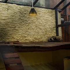2 Sets Lamp Cover for Reptile Habitat Heating Lampshade
