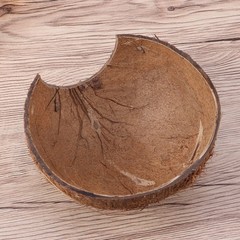 Coconut Hide for Crested Gecko Natural Reptile Hideouts Hut Cave Habitat