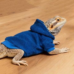 Lizard Clothes,Handmade Soft Reptile Coat, For Bearded Dragon Reptile Pets ﻿