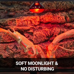 75W Reptile Heat Lamp Bulb 2PCS Infrared Heat Emitter Red Heat Lamp for Repti…