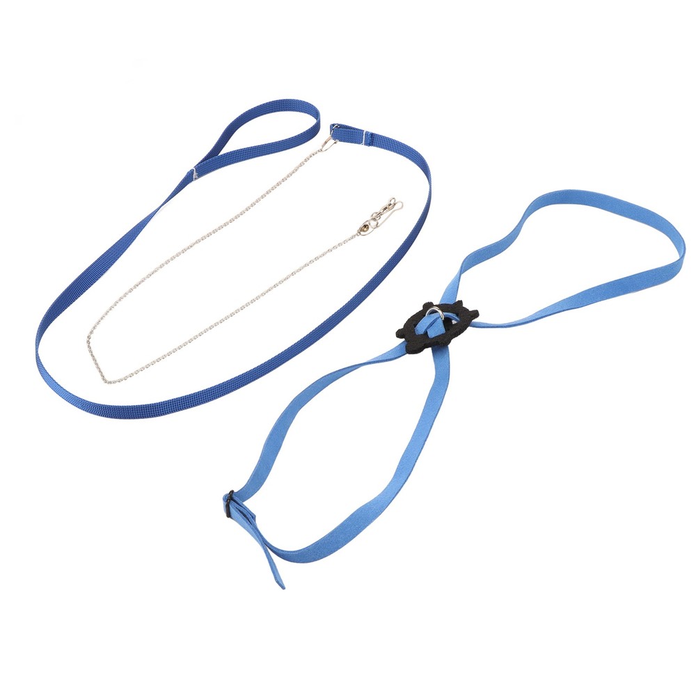 Turtle Harness Leash Adjustable Skin Pet Harness Reptile Leash