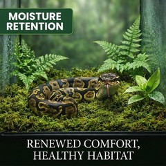 Sphagnum Moss for Reptiles Terrarium Reptiles Moss Green Dried Peat Moss Habitat