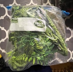 reptile supplies decor