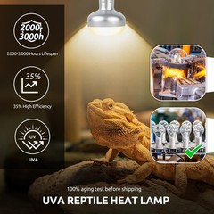 150W Reptile Heat Lamp Bulb Combo – Day & Night Basking Light Set, 2 Pack UVA &