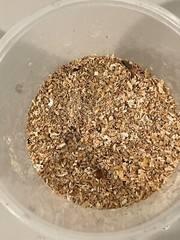 Live Mealworms Hatchlings – 0.3cm – 5000 up 10000 count