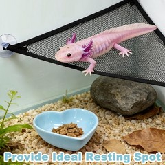 Axolotl Hammock for Aquarium with Feeding Bowl, Axolotl Tank Accessories – Br…