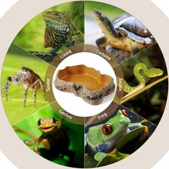 Reptile Food Water Resin Rock Bowls Lizard Gecko Worm Feeding Dish Mini