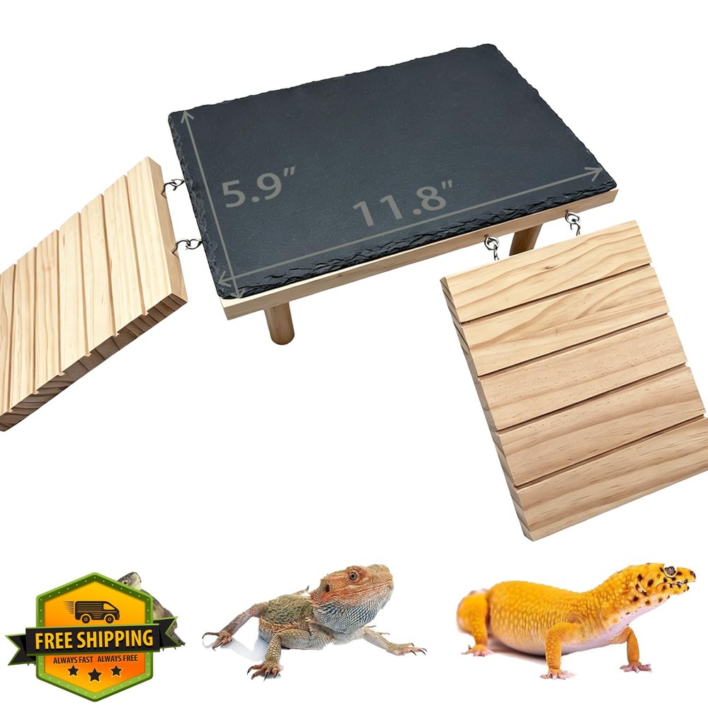 Jwizyotr Reptile Hideout Cave Medium