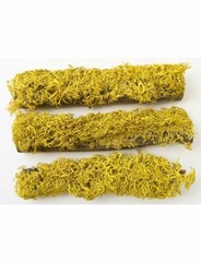 T-Rex Reptiles Terrarium Décor – Terra Accents Lichen Stick