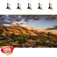Riivvdise Gobi Grey Tank Background 48x18in