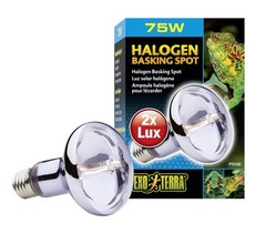 Exo Terra 75 Watt White Light Bulb for Pet Safety and Quality Living