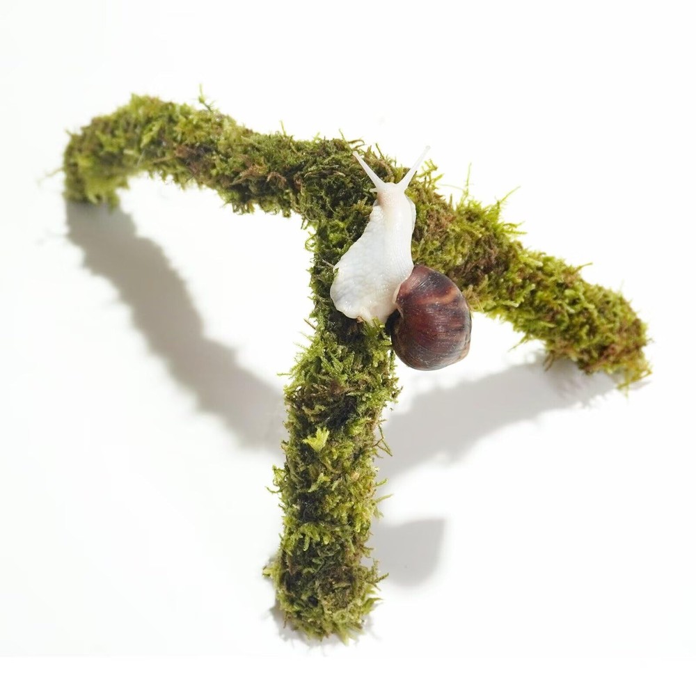 12 Inch Pet Snail Climbing Toys Terrarium Accessories Snail Habitat Enrichment