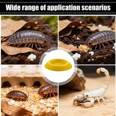 Small Invertebrate Feeding Dish – Cockroach Bowl, Ideal for Tiny Insect Pets