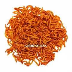 50 to 5,000 Medium Mealworms Free Shipping Available or FedEx !!!
