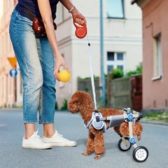 Adjustable Dog Wheelchair for Back Legs Mobility Support Lightweight Pet Whee…