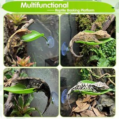 3pcs Turtle Basking Platform Tree Frog Gecko Turtle Tank Accessories Leaf Shape