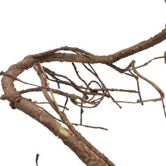 Reptile Ultimate Vine Terrarium Habitat Brown