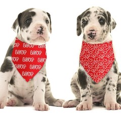 Mother’s Day Valentine’s Day Love Dog Bandana 2 Pack Dog Birthday Bandana Mot…