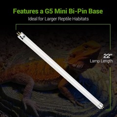 2 Pack 24W-Watt T5 HO Reptile Light Desert UVA UVB 10.0 Fluorescent… Fast Ship