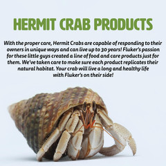 All Natural Premium Hermit Crab Sand Substrate, Sand Mixture with Coconut Fiber,