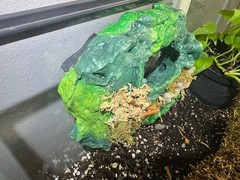 Multi use Magnetic Hides For Terrariums And Cages