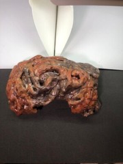 Arboreal Attitudes Small Weighted Ground Hides For Terrariums And Cages