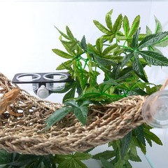 Lightweight 12-Inch Silk Terrarium Plant – Ideal for All Reptiles & Amphibians