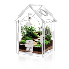 Jumping Spider Enclosure – Internal Dimensions 3.15 “x3.15” x5.6, transparent