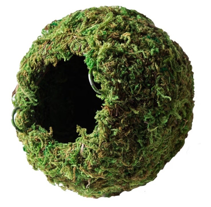Galapagos Reptile Moss Cave Hide Gecko, Frog Habitat Moss Accessories 6” OPN BOX