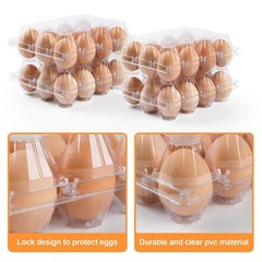 100 Pack Plastic Egg Cartons Cheap Bulk,1 Dozen Clear Empty Egg Cartons for C…