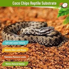 Riare 6 Pack Natural Coconut Chip Substrate for Reptiles- Compressed 6