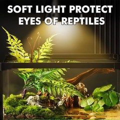 Reptile Heat Lamp, 100W Heat Lamp Bulbs for Reptiles 2 Pack, Amphibians Baski…