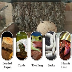 BNOSDM 2PCS Cork Bark Background,11.8″ x 7.9″ Natural Reptile Terrarium Backd…